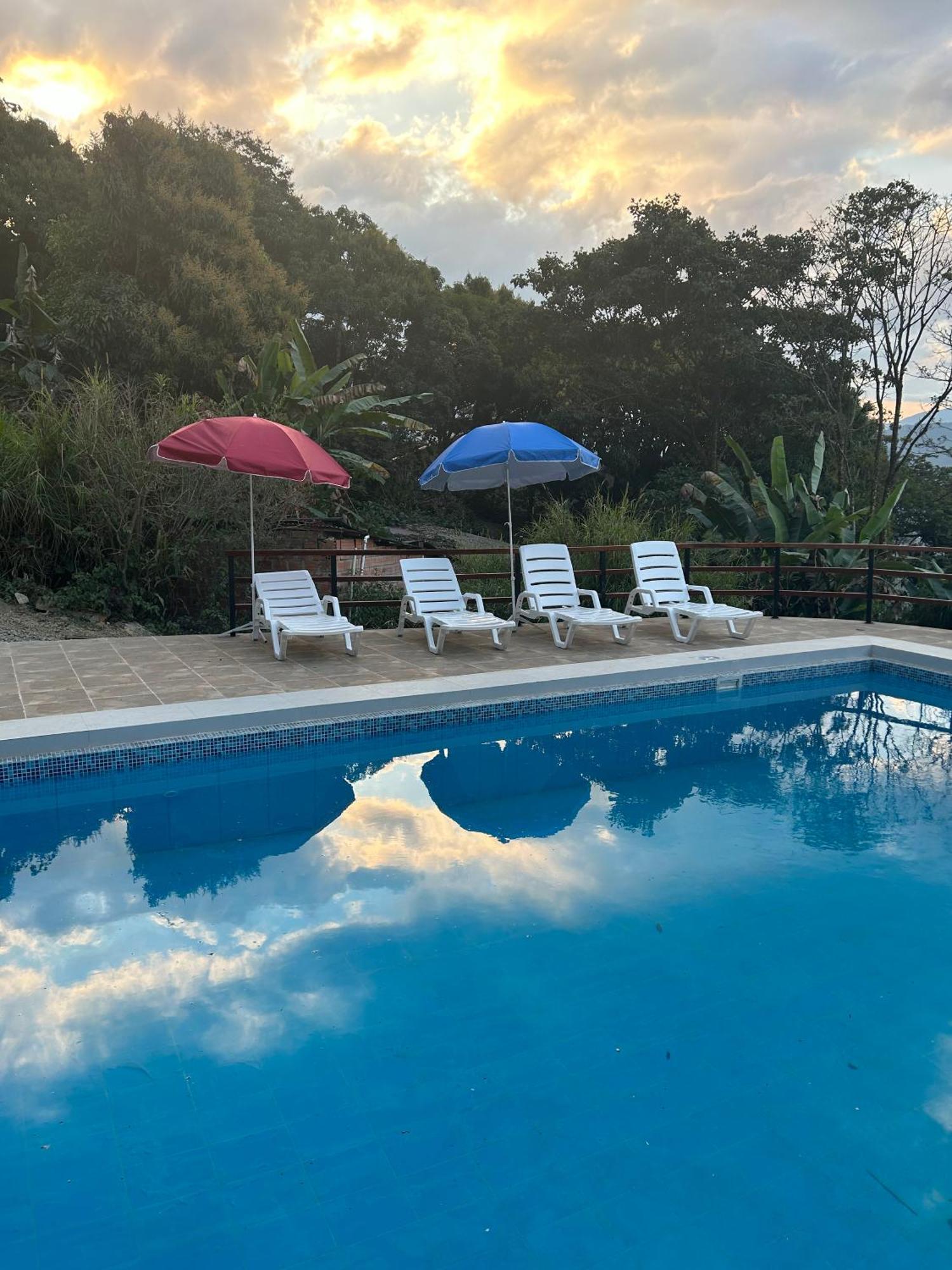 Villa Camila Hostel Coroico Bagian luar foto